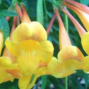 Meet your Posher, Sandi